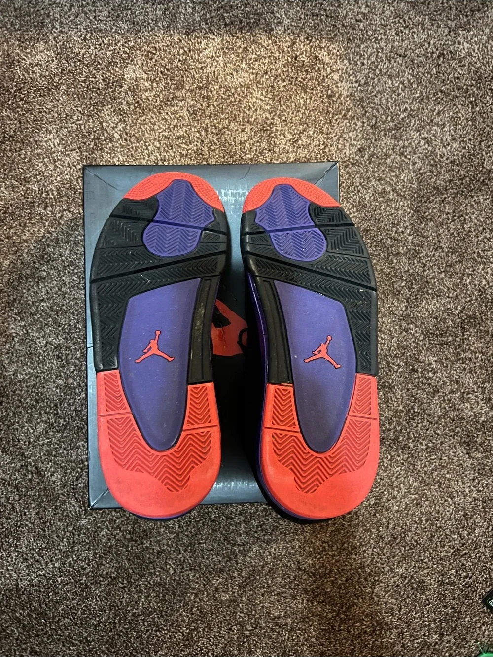 Jordan 4 Raptors